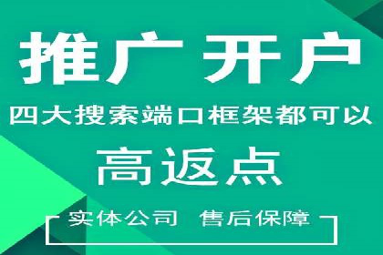 百度竞价排名案例分析：提升网站流量与转化率